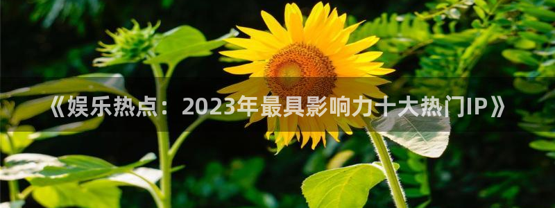 长运娱乐主管：《娱乐热点：2023年最具影响力十大热门IP》
