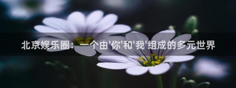 长运娱乐平台：北京娱乐圈：一个由\'你\'和\'我\'组成的多元世界